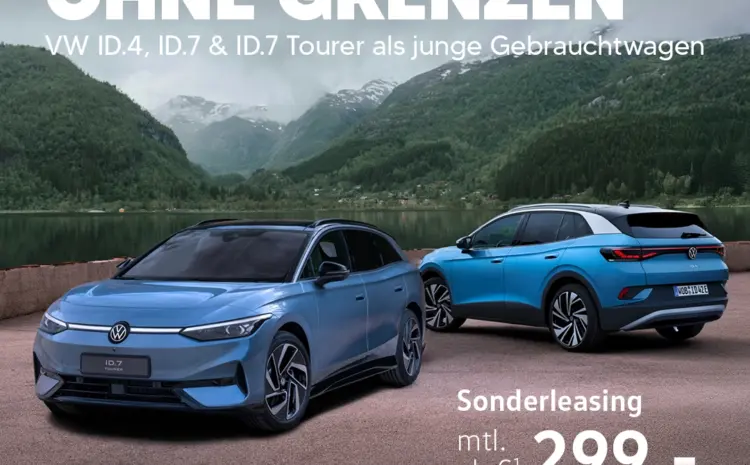  Junge gebrauchte ID.s