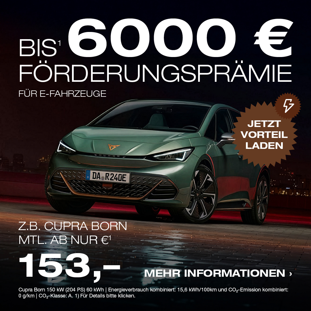 BEITRAG Elektro Förderprämie Cupra BEITRAG Elektro Förderprämie Cupra